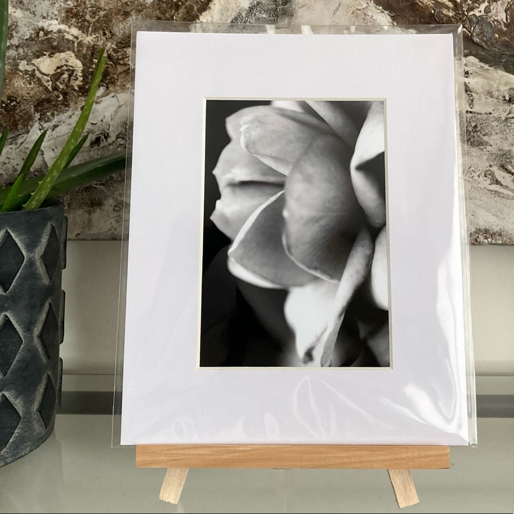 “WITHOUT YOU” ~ ORIGINAL ART by ~ @lisamichellebeckerphotography - Picture 10 of 14